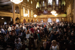 146-IMG_9536