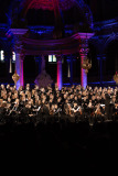185-IMG_9746