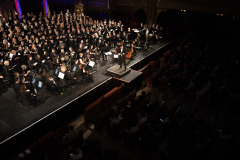 230-IMG_9924