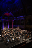231-IMG_9931